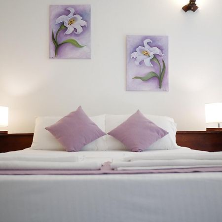 فندق Elegance Oasis, Colombo 3 الغرفة الصورة